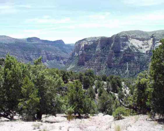 Near the start of the trail to Jones' Hole