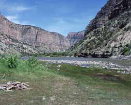 Rafters on the Green River